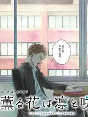 综艺标本图版：手作考据局道具档案